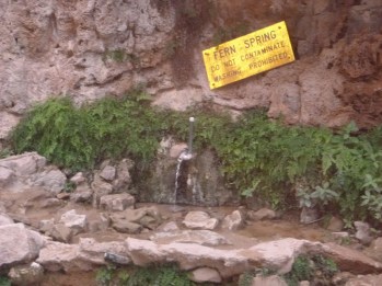 Havasuapi fern spring